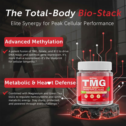 2Pack TMG Gummies 1000mg Betaine Anhydrous + Methylated Multivitamin & B Complex Methylated(Methylfolate B12 B6), Magnesium, Taurine - Essential Trimethylglycine for Homocysteine Levels, Brain, Energy - dailyvitalstore