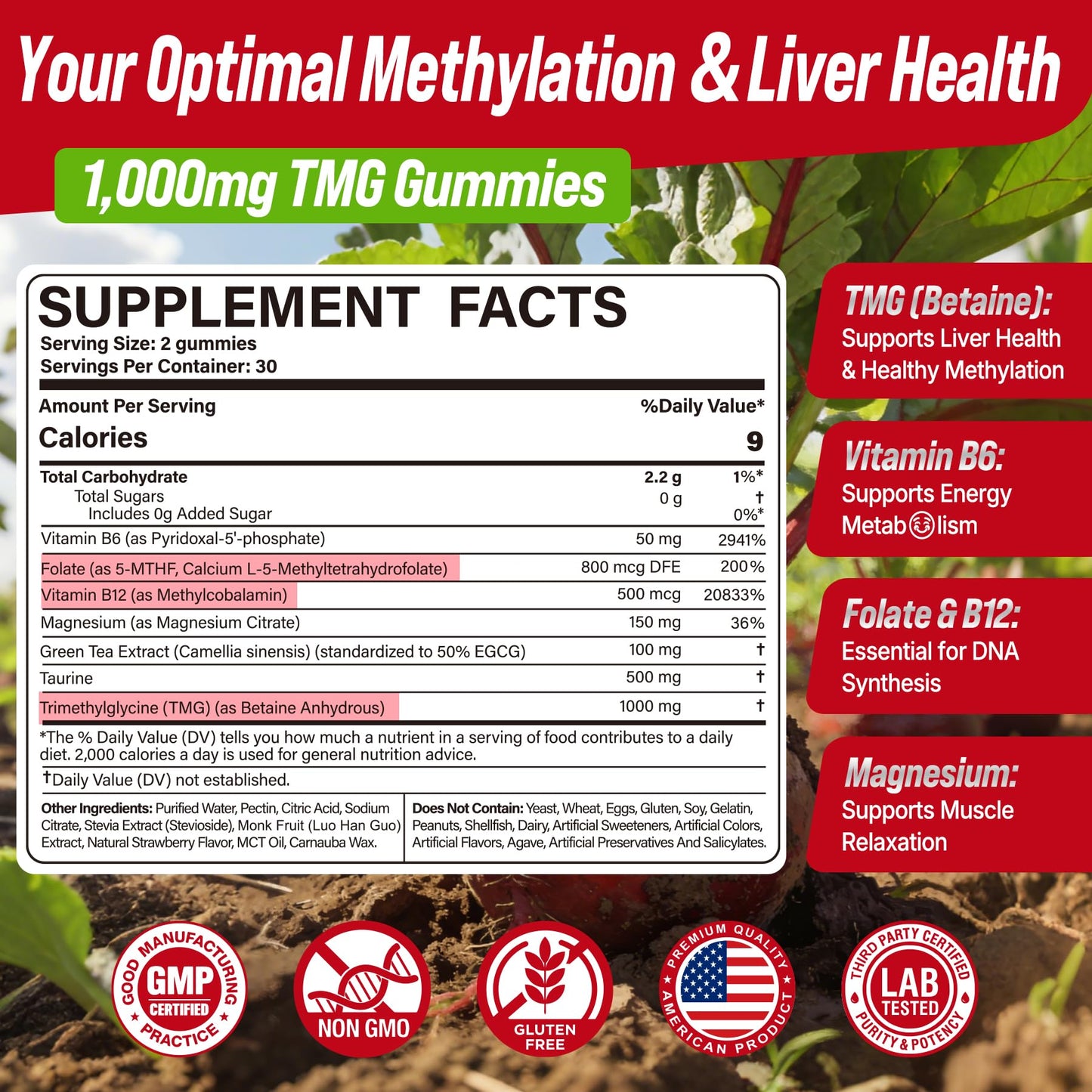 2Pack TMG Gummies 1000mg Betaine Anhydrous + Methylated Multivitamin & B Complex Methylated(Methylfolate B12 B6), Magnesium, Taurine - Essential Trimethylglycine for Homocysteine Levels, Brain, Energy - dailyvitalstore
