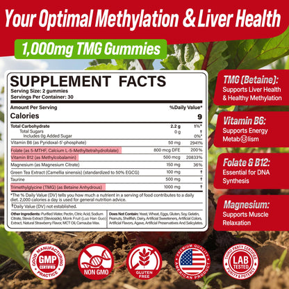 2Pack TMG Gummies 1000mg Betaine Anhydrous + Methylated Multivitamin & B Complex Methylated(Methylfolate B12 B6), Magnesium, Taurine - Essential Trimethylglycine for Homocysteine Levels, Brain, Energy - dailyvitalstore