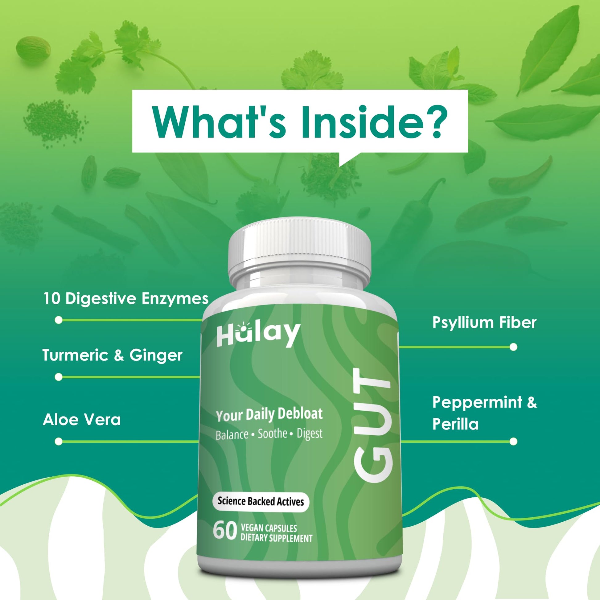 3-in-1 Gut Health Supplement - Debloat Pills - Gas and Bloating - Lactase, Protease, Amylase and Lipase Digestive Enzymes - Peppermint, Turmeric and Psyllium Husk Capsules - dailyvitalstore