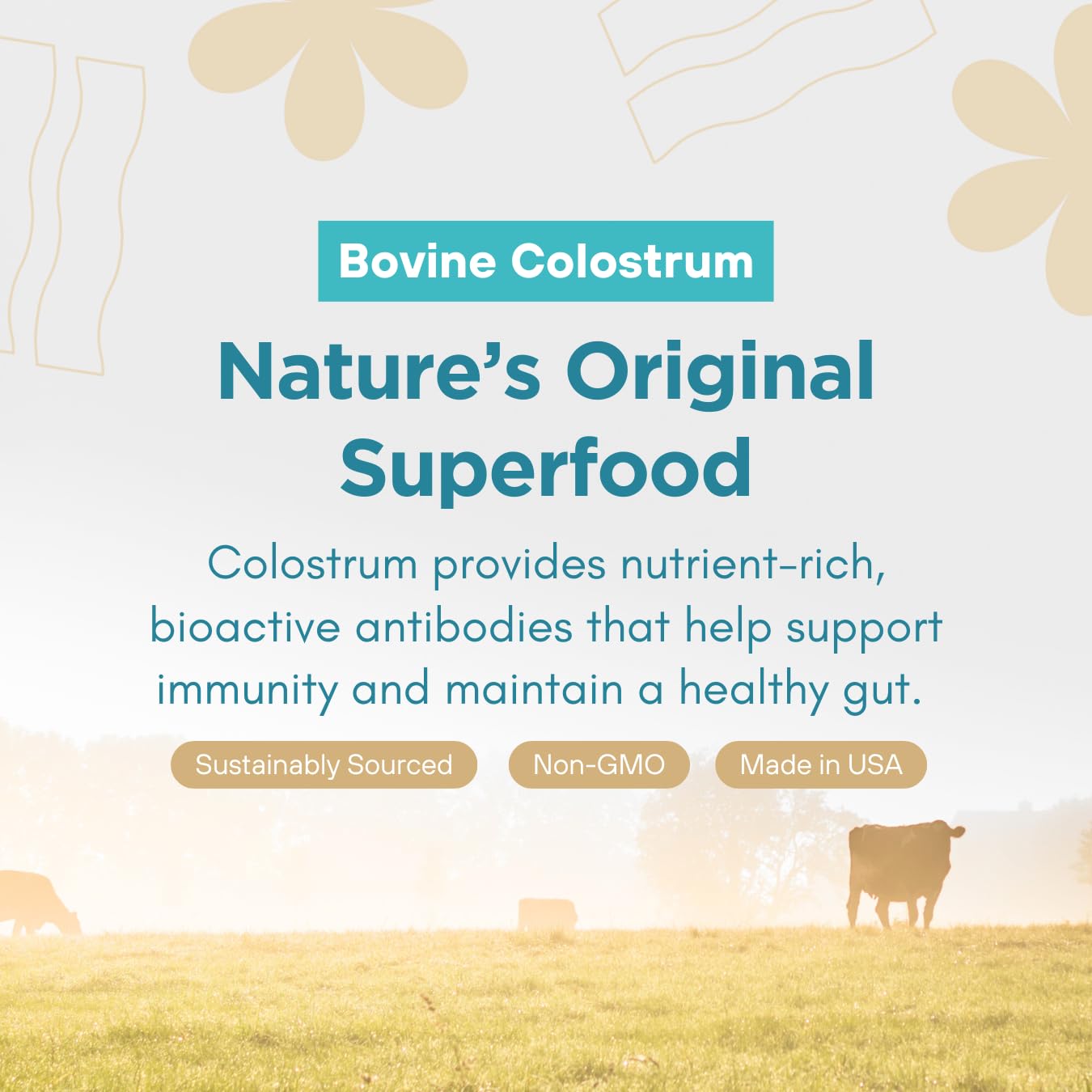 360 Nutrition Blends with Benefits Bovine Colostrum + Collagen Peptides Powder for Gut Health, Hair & Skin Beauty, Immune Support | Grass-Fed, No Added Sugar, Unflavored 6 oz - dailyvitalstore