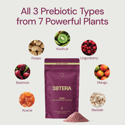 38TERA DMN (Daily Microbiome Nutrition), 6 Oz, Plant-Based Fiber Powder with 3 Different Prebiotics, Helps Digestive & Gut Health, Low FODMAP Supplement, Vegan, Wild Berry Flavor, 30 Servings - dailyvitalstore