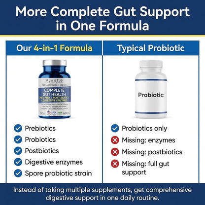 4-in-1 Gut Health Support – Prebiotics + Probiotics + Postbiotics + Digestive Enzymes – DE111 Spore Probiotic for Digestive Support & Bloating - dailyvitalstore