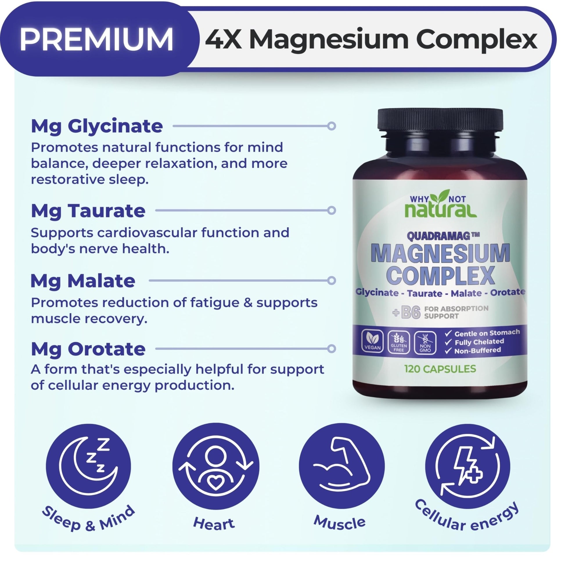 4-in-1 Magnesium Complex Supplement - Glycinate, Taurate, Malate, Orotate Blend - 300 mg per Serving, 120 Capsules - dailyvitalstore