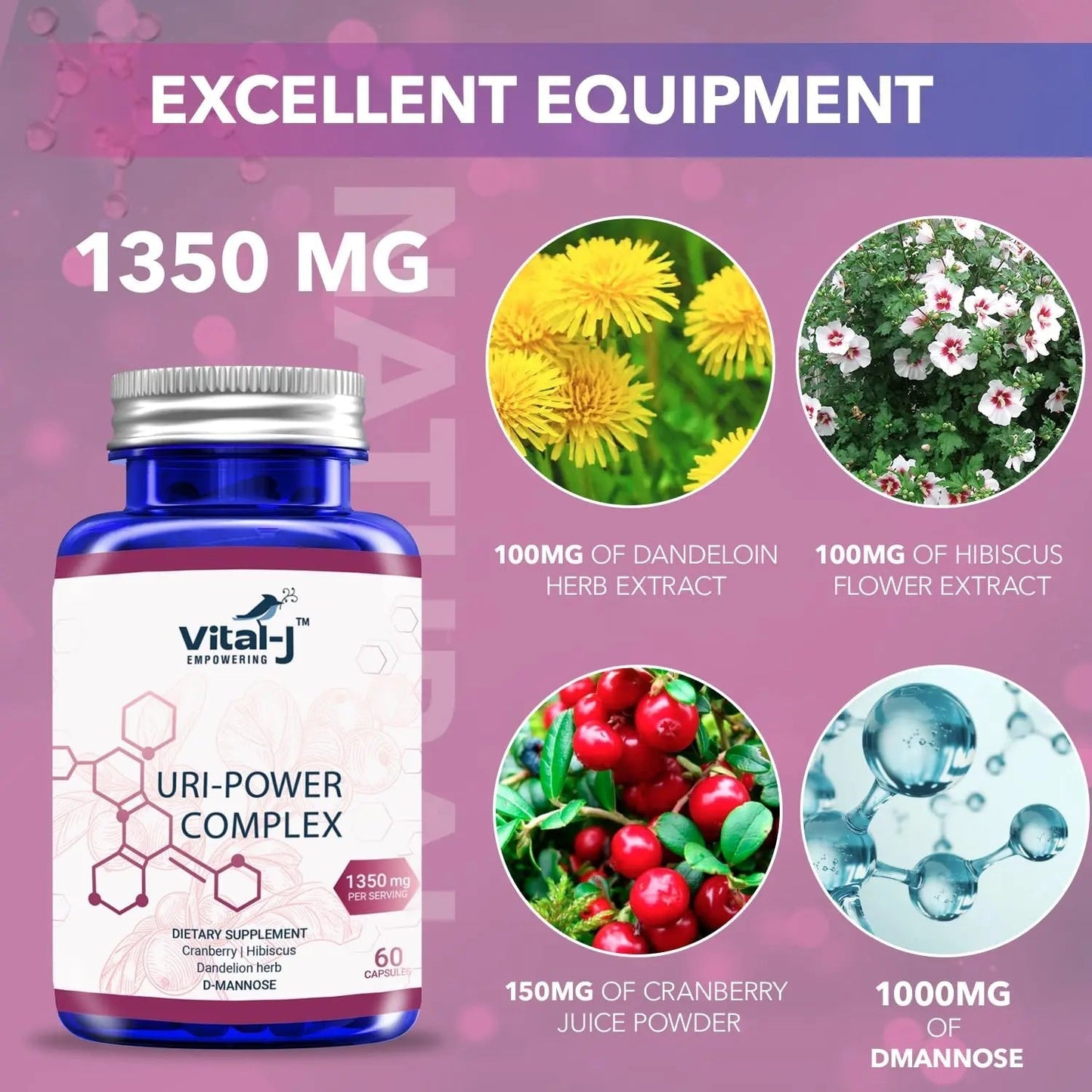4-IN-1 URI POWER COMPLEX 1350mg - D Mannose, Cranberry, Hibiscus, and Dandelion Herb - Naturally Cleanse the Bladder and Urinary Tract 60 capsules – Specialized Approach for UTI Avoidance - dailyvitalstore