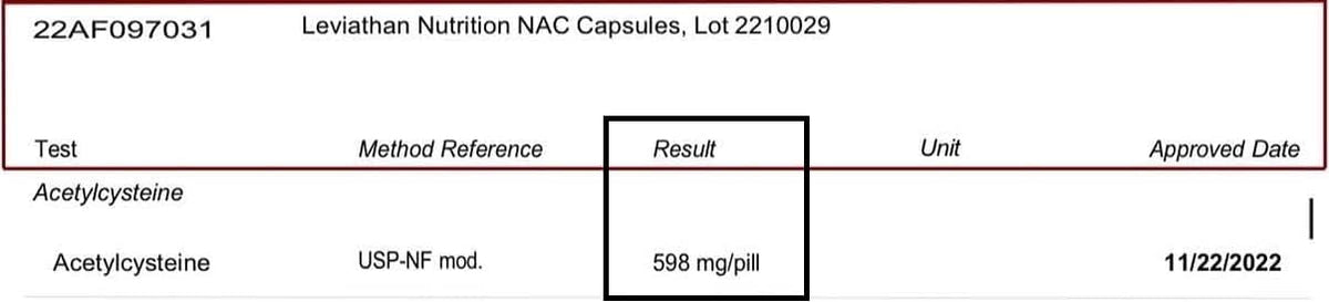 Leviathan Nutrition NAC Supplement N-Acetyl Cysteine for Lung, Liver, Immune Support - Potent Antioxidant Support to Boost Glutathione Levels 600mg, 120 Capsules