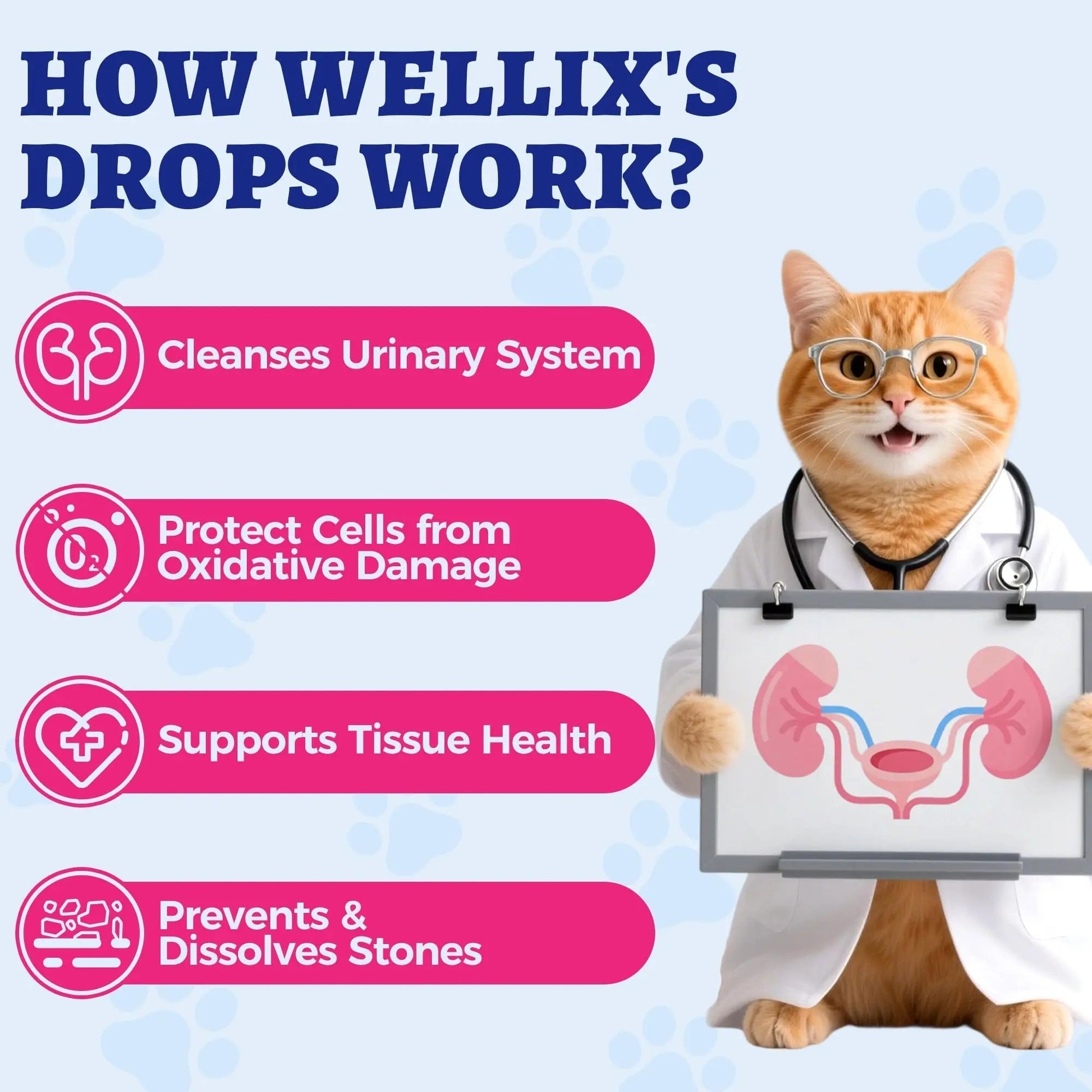 4oz Wellix Natural Cat & Dog UTI Treatment Drops,Cat & Dog Urinary Tract Infection Treatment - Cranberry & D-Mannose for Dogs & Cats - Kidney Health Supplement - dailyvitalstore