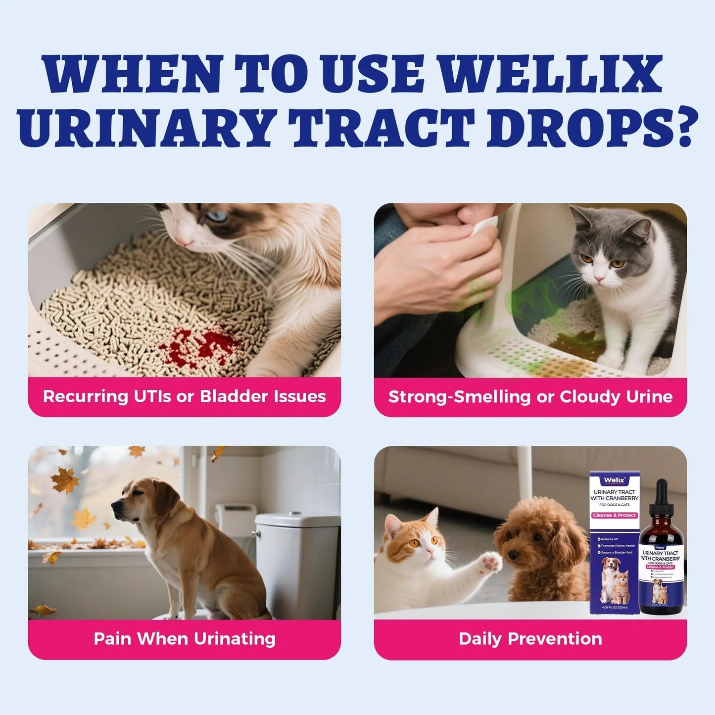 4oz Wellix Natural Cat & Dog UTI Treatment Drops,Cat & Dog Urinary Tract Infection Treatment - Cranberry & D-Mannose for Dogs & Cats - Kidney Health Supplement - dailyvitalstore