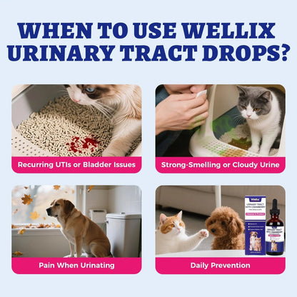 4oz Wellix Natural Cat & Dog UTI Treatment Drops,Cat & Dog Urinary Tract Infection Treatment - Cranberry & D-Mannose for Dogs & Cats - Kidney Health Supplement - dailyvitalstore
