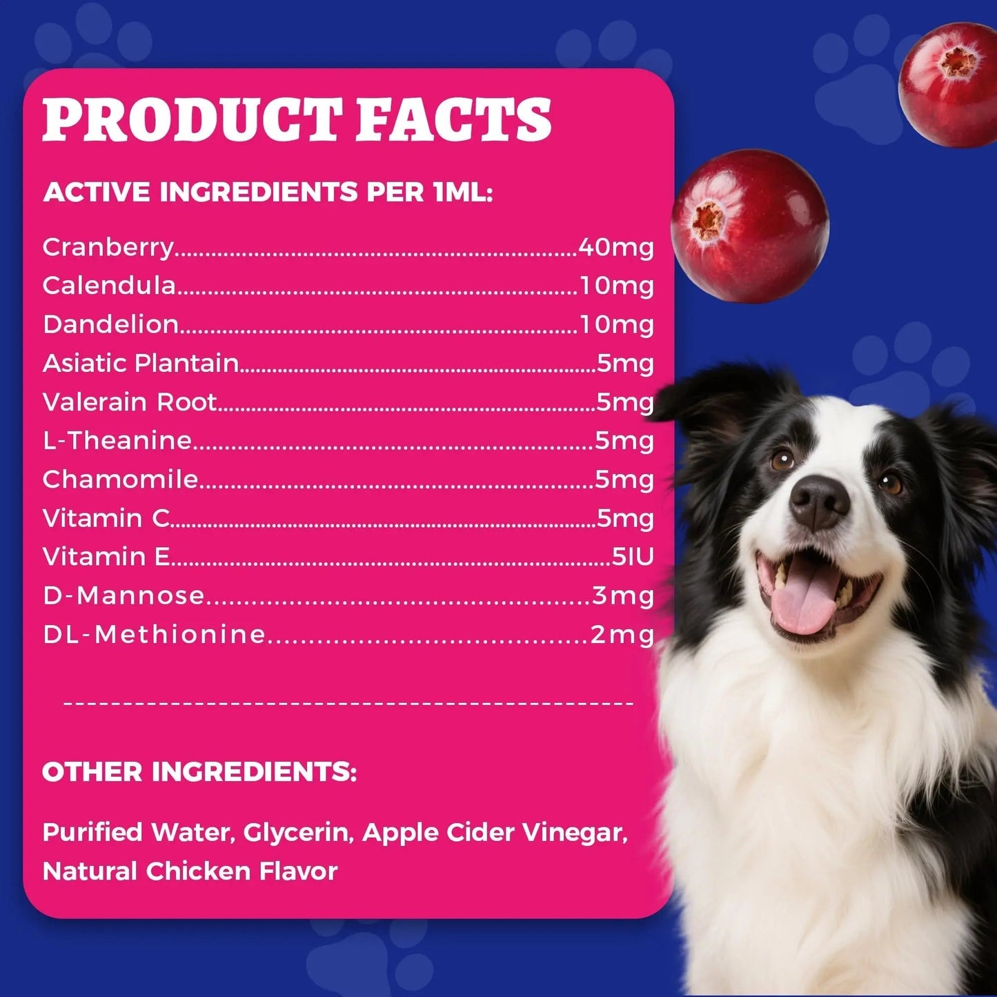 4oz Wellix Natural Cat & Dog UTI Treatment Drops,Cat & Dog Urinary Tract Infection Treatment - Cranberry & D-Mannose for Dogs & Cats - Kidney Health Supplement - dailyvitalstore