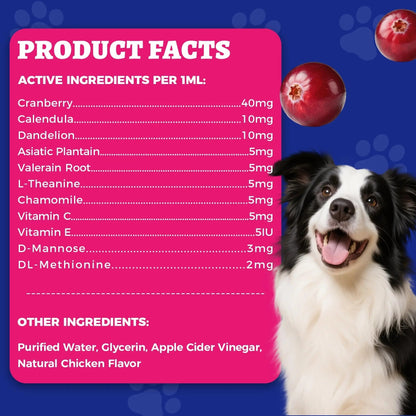 4oz Wellix Natural Cat & Dog UTI Treatment Drops,Cat & Dog Urinary Tract Infection Treatment - Cranberry & D-Mannose for Dogs & Cats - Kidney Health Supplement - dailyvitalstore