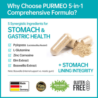 5-in-1 High Potency H. Pylori Probiotic, 1 Per Day - Supports Gastric Lining Integrity, Occasional Indigestion, Acid Comfort - Pylopass Lactobacillus Reuteri, Gluten Free, Vegan, 30ct, Made in Germany - dailyvitalstore