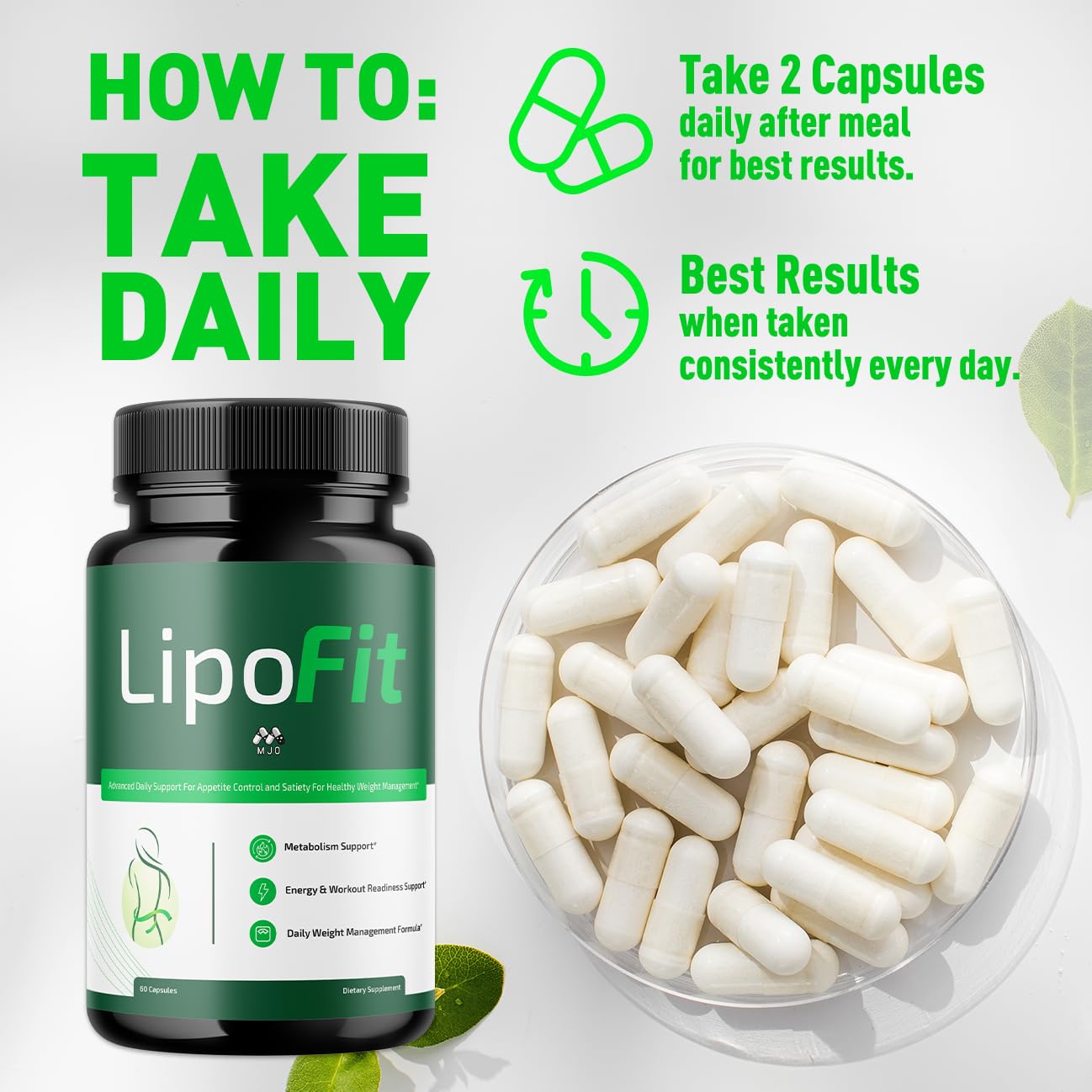 (5 Pack) Lipo Fit Capsules, Official Lipo Fit Pills with All Natural Ingredients, Advanced Overall Health & Wellness Vitamin Supplement Formula for Maximum Strength Multivitamin Support (300 Capsules) - dailyvitalstore