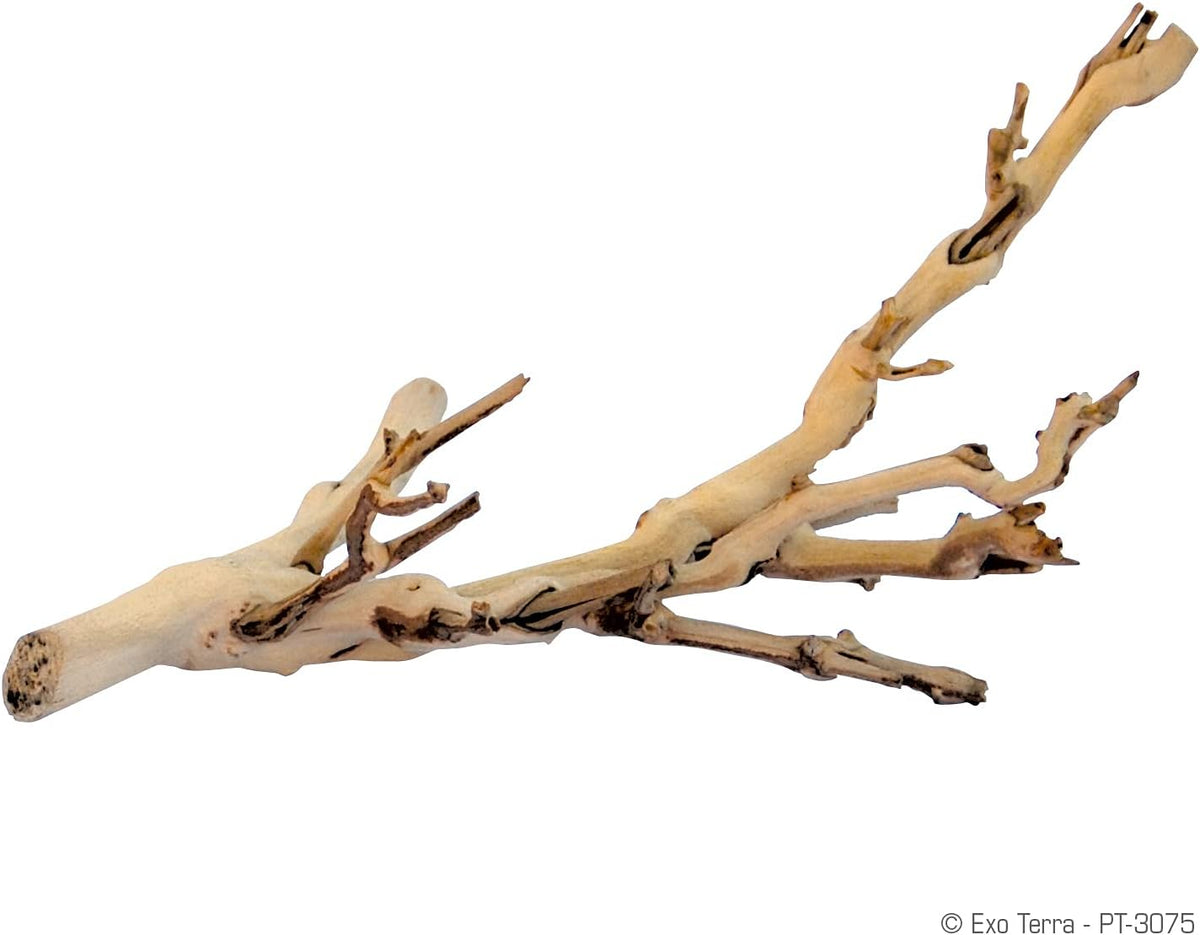 Exo Terra Forest Branch Small - Natural Wood Terrarium Decoration | For Reptiles, Amphibians & Small Pets
