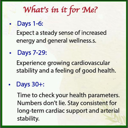 Bodymune Heart Health Blend Cholesterol Support – Organic Cardiovascular & Circulation Supplement – with Green Tea, Pomegranate & Black Seed Oil – 30Capsules – USDA Organic, Vegan