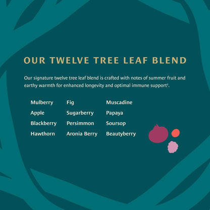 Healing Leaves, Longevity Blend Tea Bags- 30 Count | Biblically Inspired, 12 Fruit Tree Leaf Blend. Supports Digestion, Immune Function, Healthy Inflammation Response and Energy