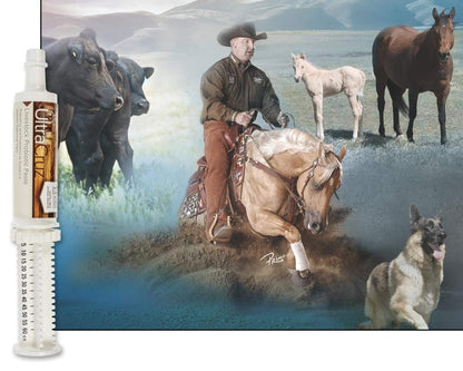 60 ml, Paste, 4 Day Supply - dailyvitalstore