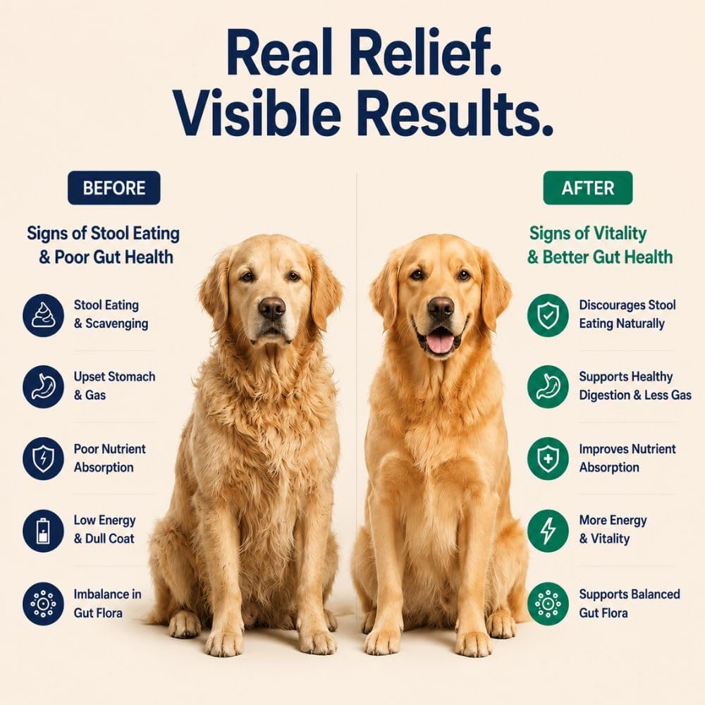No Poo Chews for Dogs, Coprophagia Stool Eating Deterrent, Stop Eating Poop Supplement with Probiotics, Digestive Enzymes & Breath Aid Support, Gut Health & Digestive Support, Chicken Flavor, 120 Ct