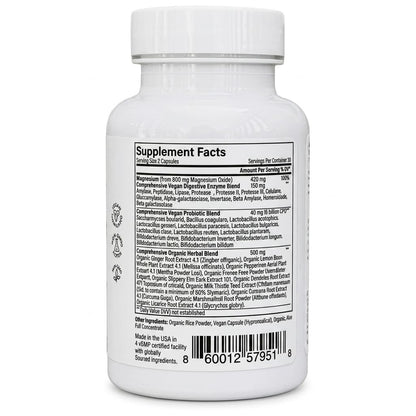 Gut Glo 4-in-1 Probiotic (16 Billion CFU) Gut Health Supplement, Digestive Enzymes, Magnesium & Organic Herbs – Ginger, Peppermint for Bloating & Constipation Relief – Vegan – 120 Capsules