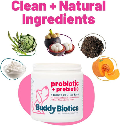 Probiotic + Prebiotic Powder for Dogs – 7 Probiotic Strains with Prebiotic FOS, Supports Gut Flora, Digestive & Immune Health, 5 Billion CFU per Scoop