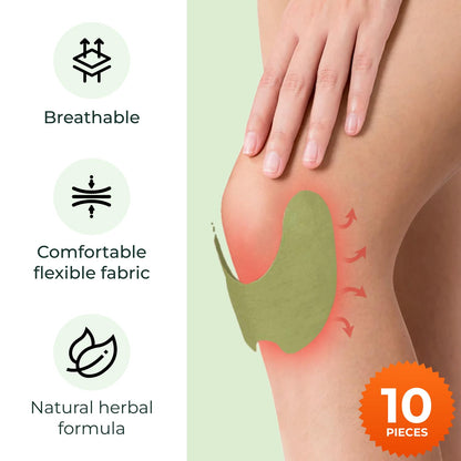 Wellnee Knee & Joint Wellness Bundle – Herbal Patches (30 pcs) & Support Capsules (90 servings)