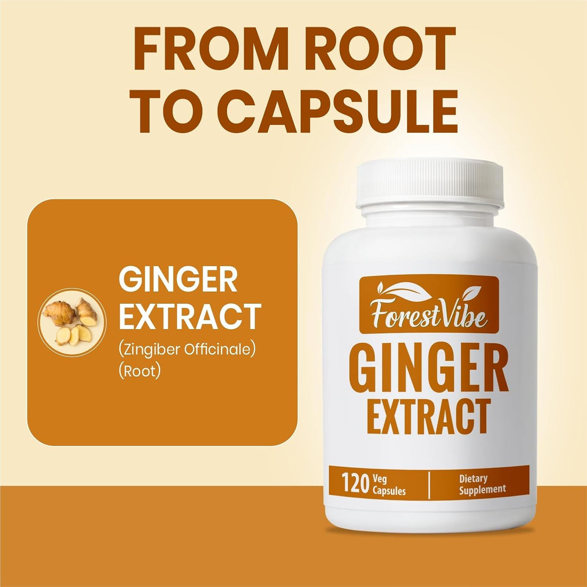 Ginger Root Capsules 1000mg, Potent Ginger Extract Powder, 120 Vegan Capsules, 2 Month Supply, Non-GMO and Gluten Free Ginger Supplement