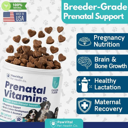 Dog Prenatal Vitamins for Pregnant & Nursing Dogs – 120 Soft Chews with Folic Acid, DHA, Choline, Iron & Calcium – Prenatal Multivitamin Supplement for Puppy Development, Pregnancy & Lactation Support