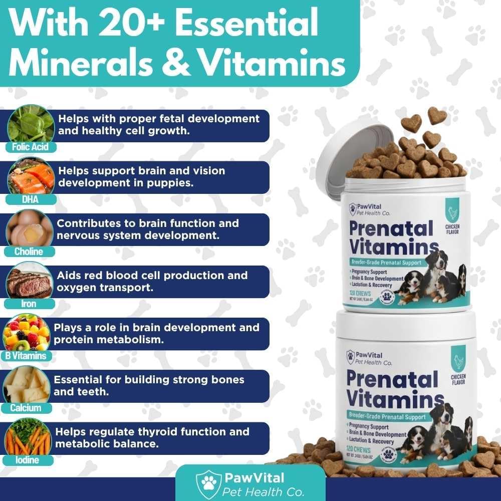 Dog Prenatal Vitamins for Pregnant & Nursing Dogs – 120 Soft Chews with Folic Acid, DHA, Choline, Iron & Calcium – Prenatal Multivitamin Supplement for Puppy Development, Pregnancy & Lactation Support