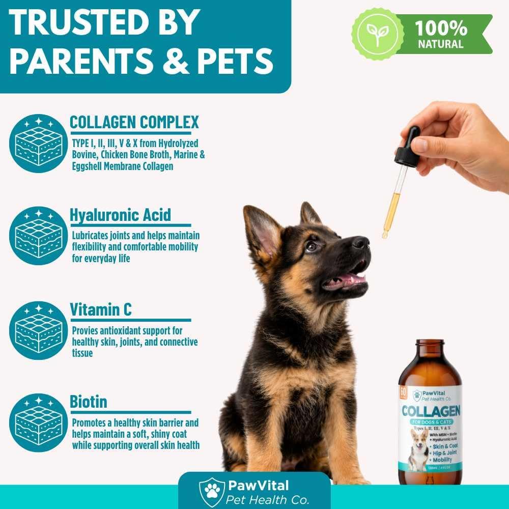 Liquid Collagen for Dogs – 1000mg 5 Types Grass-Fed Collagen Peptides (I, II, III, V & X) with MSM, Glucosamine, Chondroitin, Hyaluronic Acid – Skin & Coat, Itch Relief, Hip & Joint Support – 4oz