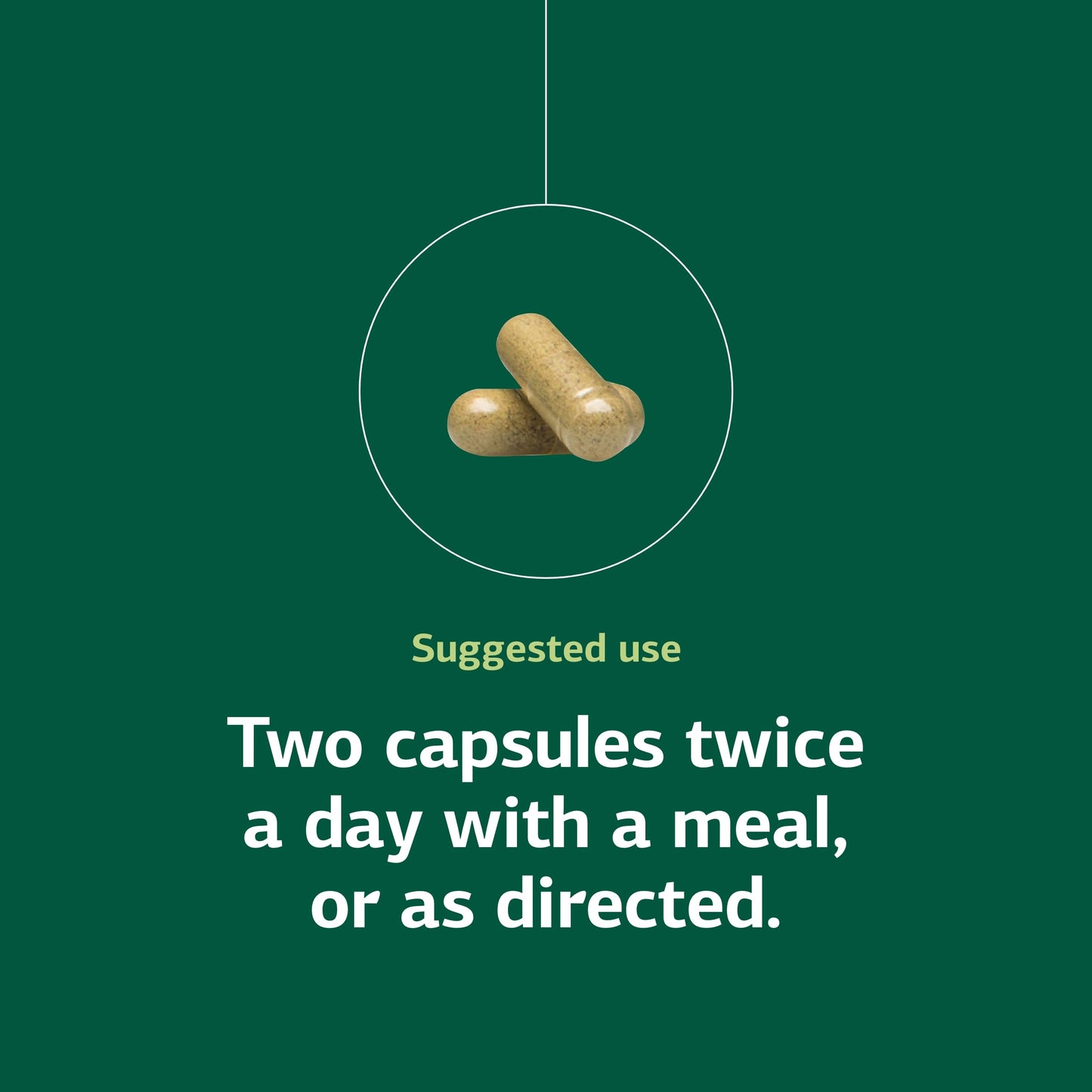 Standard Process Diaplex - Supplement for Pancreas & Gallbladder Support - Contains Chromium & Antioxidant Vitamin A