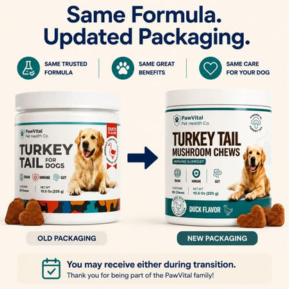 Turkey Tail Mushroom for Dogs – Mushroom Chews with Reishi & Probiotics – Dog Vitamins & Supplements for Immune Support, Gut Health, Brain Function & Daily Wellness – Duck Flavor – 90 Soft Chews