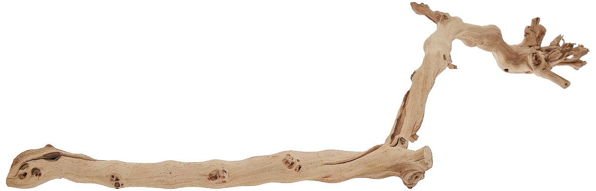 Exo Terra Forest Branch Small - Natural Wood Terrarium Decoration | For Reptiles, Amphibians & Small Pets