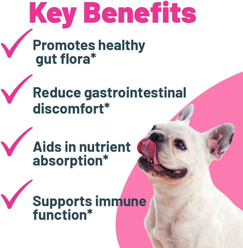 Probiotic + Prebiotic Powder for Dogs – 7 Probiotic Strains with Prebiotic FOS, Supports Gut Flora, Digestive & Immune Health, 5 Billion CFU per Scoop