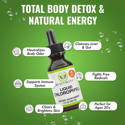 Benevolent Nourishment Chlorophyll Supplement, Detox & Immune Support, Internal Deodorizer, Liquid Drops