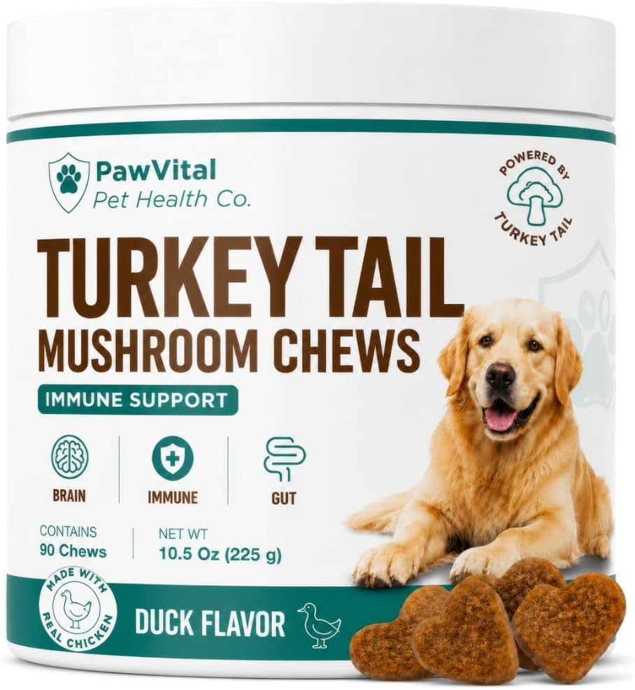Turkey Tail Mushroom for Dogs – Mushroom Chews with Reishi & Probiotics – Dog Vitamins & Supplements for Immune Support, Gut Health, Brain Function & Daily Wellness – Duck Flavor – 90 Soft Chews