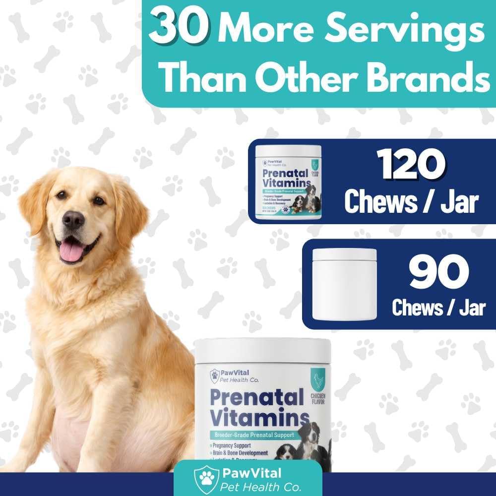 Dog Prenatal Vitamins for Pregnant & Nursing Dogs – 120 Soft Chews with Folic Acid, DHA, Choline, Iron & Calcium – Prenatal Multivitamin Supplement for Puppy Development, Pregnancy & Lactation Support