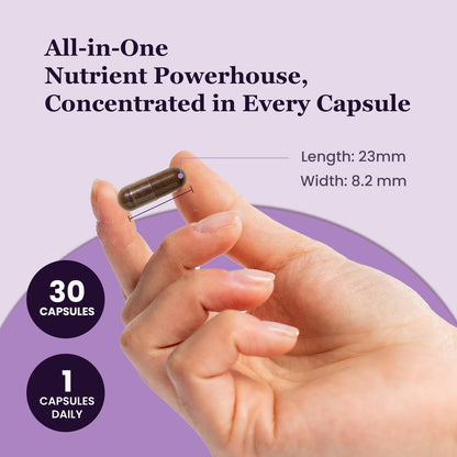 UpNourish Organic Ashwagandha Saffron Supplements with Probiotics - Stress Relief, Mood Enhancer, Calm Happy Pills Support Fatigue Focus Clarity with L-Theanine, Rhodiola, 30 Vegan Capsules