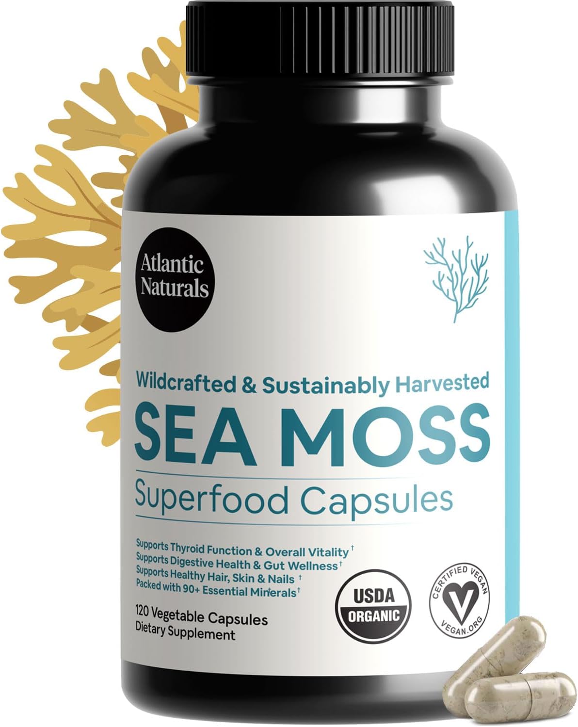 Atlantic Naturals Total Wellness Trio – Organic Irish Sea Moss Capsules 120ct + Sea Moss Super Greens Powder + Sea Moss Gummies with Lion's Mane | Complete Daily Wellness Routine