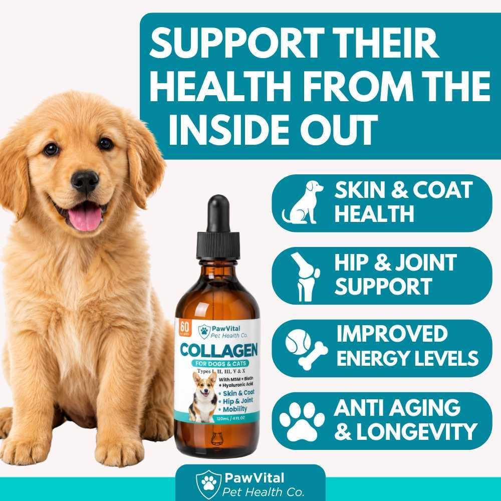 Liquid Collagen for Dogs – 1000mg 5 Types Grass-Fed Collagen Peptides (I, II, III, V & X) with MSM, Glucosamine, Chondroitin, Hyaluronic Acid – Skin & Coat, Itch Relief, Hip & Joint Support – 4oz