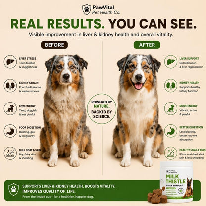 Milk Thistle for Dogs - Max Strength Liver Support Chews, Wild Alaskan Salmon Oil & Curcumin - Kidney Detox & Hepatic Support - Natural Liver Support Chews Made with Real Chicken, Choline & NAC