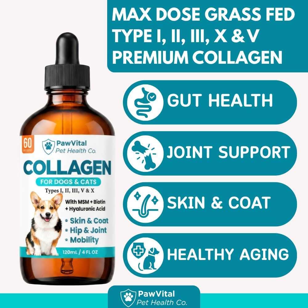 Liquid Collagen for Dogs – 1000mg 5 Types Grass-Fed Collagen Peptides (I, II, III, V & X) with MSM, Glucosamine, Chondroitin, Hyaluronic Acid – Skin & Coat, Itch Relief, Hip & Joint Support – 4oz