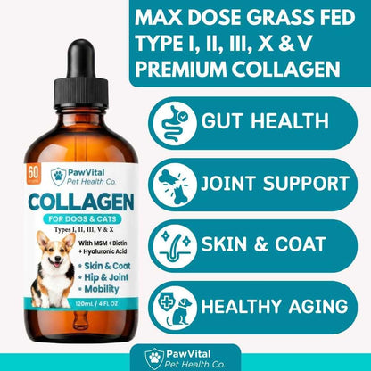 Liquid Collagen for Dogs – 1000mg 5 Types Grass-Fed Collagen Peptides (I, II, III, V & X) with MSM, Glucosamine, Chondroitin, Hyaluronic Acid – Skin & Coat, Itch Relief, Hip & Joint Support – 4oz