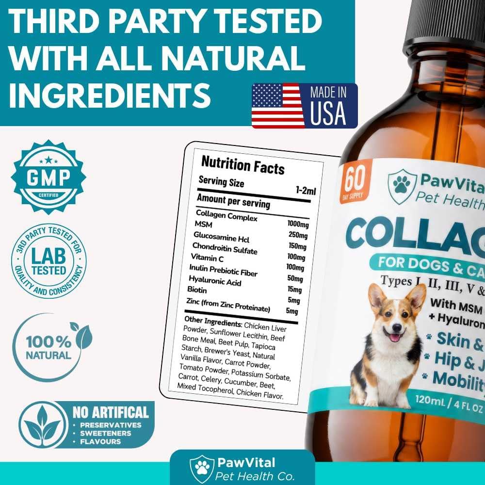 Liquid Collagen for Dogs – 1000mg 5 Types Grass-Fed Collagen Peptides (I, II, III, V & X) with MSM, Glucosamine, Chondroitin, Hyaluronic Acid – Skin & Coat, Itch Relief, Hip & Joint Support – 4oz