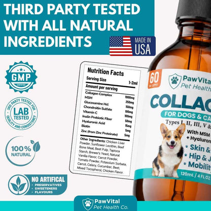 Liquid Collagen for Dogs – 1000mg 5 Types Grass-Fed Collagen Peptides (I, II, III, V & X) with MSM, Glucosamine, Chondroitin, Hyaluronic Acid – Skin & Coat, Itch Relief, Hip & Joint Support – 4oz