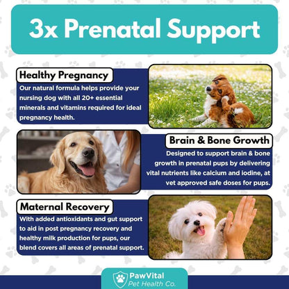 Dog Prenatal Vitamins for Pregnant & Nursing Dogs – 120 Soft Chews with Folic Acid, DHA, Choline, Iron & Calcium – Prenatal Multivitamin Supplement for Puppy Development, Pregnancy & Lactation Support