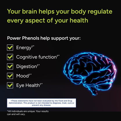 Gundry MD® Power Phenols Brain Health & Energy Supplement, 30 Servings | Cognitive Support, Focus & Productivity Enhancement, Energy Boost, Sugar & Artificial Sweetener Free, With Astaxanthin