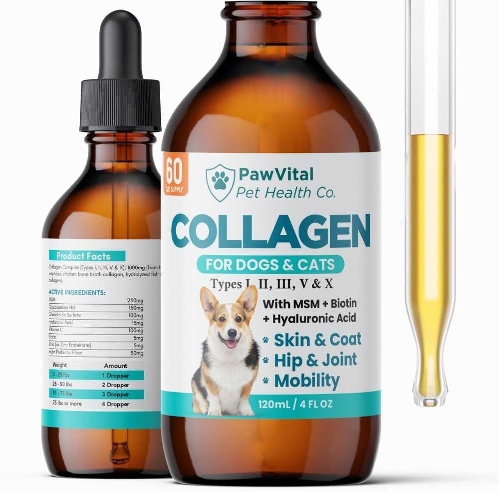 Liquid Collagen for Dogs – 1000mg 5 Types Grass-Fed Collagen Peptides (I, II, III, V & X) with MSM, Glucosamine, Chondroitin, Hyaluronic Acid – Skin & Coat, Itch Relief, Hip & Joint Support – 4oz