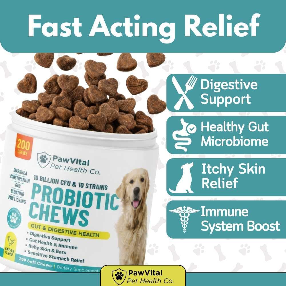 Dog Probiotic Chews for Digestive Health – Probiotics for Dogs with 10 Billion CFU, Prebiotics, Digestive Enzymes – Gut Health, Yeast, Itchy Skin & Itchy Ears – Diarrhea & Constipation – 200 Chews