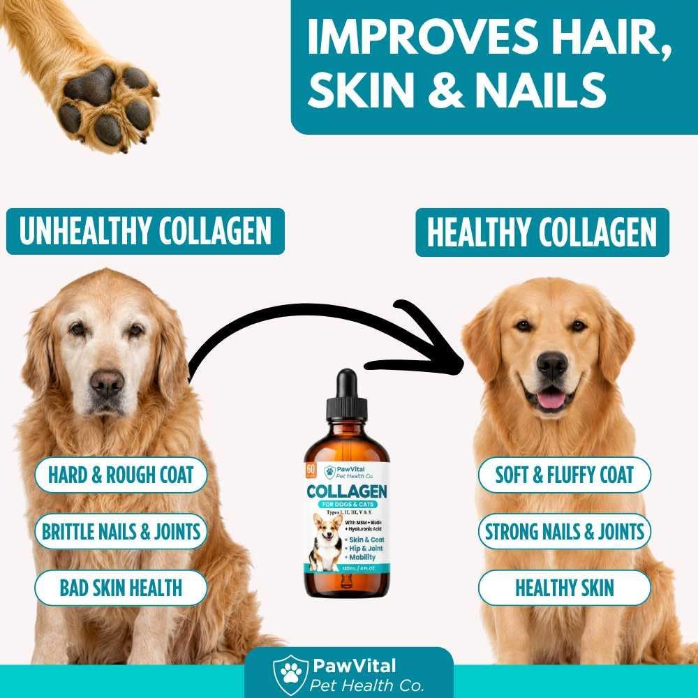 Liquid Collagen for Dogs – 1000mg 5 Types Grass-Fed Collagen Peptides (I, II, III, V & X) with MSM, Glucosamine, Chondroitin, Hyaluronic Acid – Skin & Coat, Itch Relief, Hip & Joint Support – 4oz
