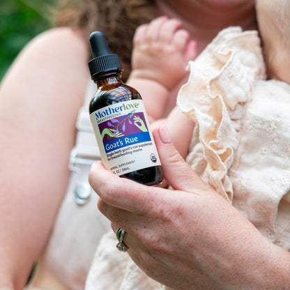 Motherlove Goat’s Rue (2 Ounce Tincture) Lactation Supplement for Breast Tissue Development & Breast Milk Supply Optimization